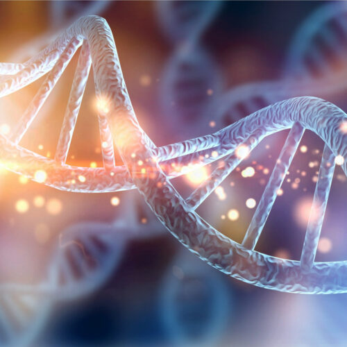 KIR-HLAc genetic matching